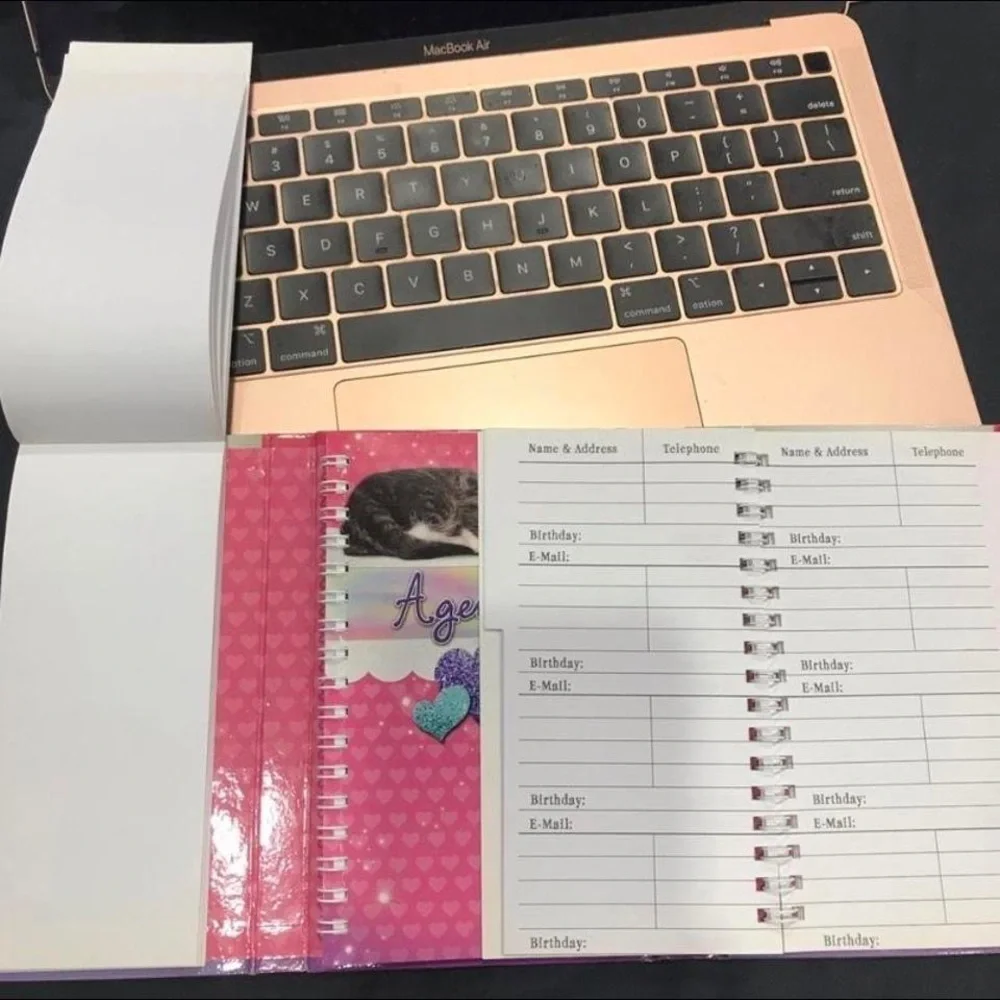 Scholastic brand new